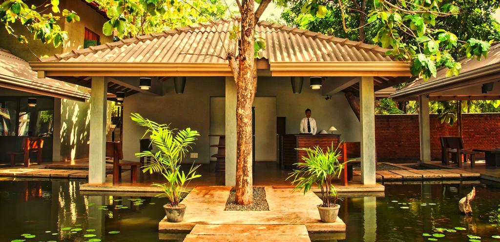 Fresco Water Villa Sigiriya Eksteriør bilde