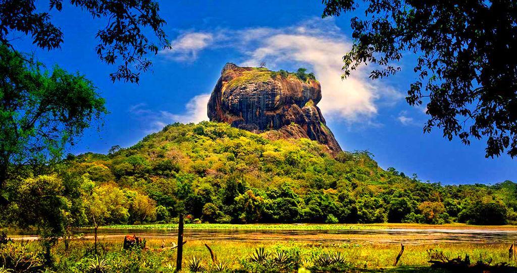 Fresco Water Villa Sigiriya Eksteriør bilde